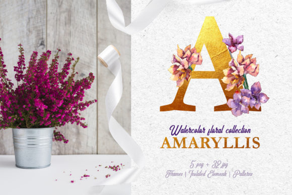 Amaryllis Watercolor: Hand-Painted Aquarelle Clipart for Creatives