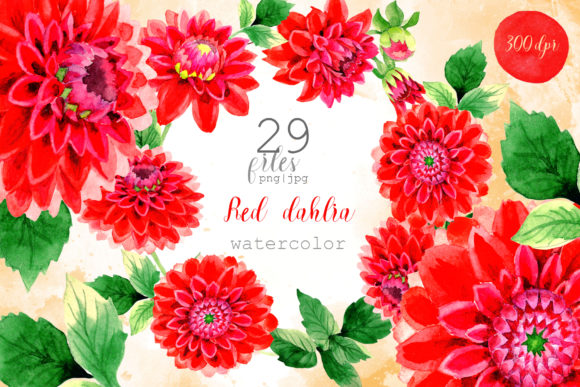 Beautiful Red Dahlia Watercolor Set: A Versatile Creative Resource for DIY and Design