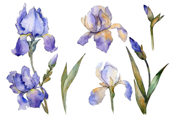Bouquet Fairy Watercolor: A Practical Toolkit for Creatives, Entrepreneurs, and Everyday Designers