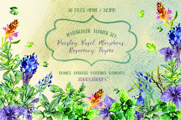 Bouquet of Herbs Watercolor Set