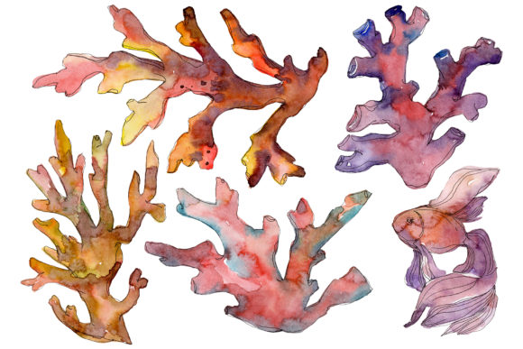 Corals Red Watercolor: A Versatile Design Resource for Creative Projects