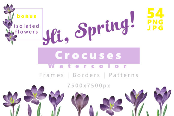 Crocuses Flower Watercolor Set for Creative Projects