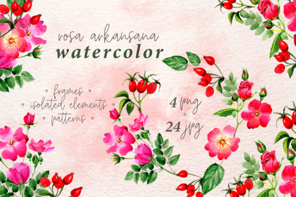 Discover the Beauty of Rosa Arkansana Watercolor Sets: A Complete Guide to Creative Design Resources
