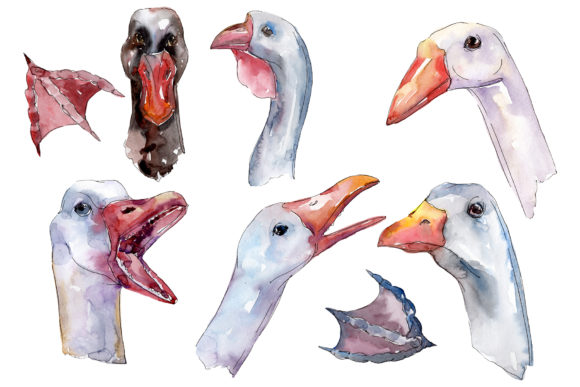 Farm Animals Goose Heads Watercolor: Strategic Uses for Design, Branding, and Creative Projects