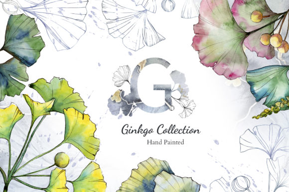Green Ginkgo Leaves Watercolor and Vector Clipart: A Practical Guide to Getting the Most from This Versatile Set