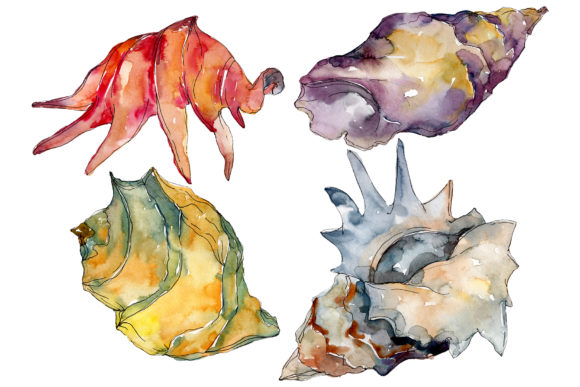 How Shells Watercolor Is Transforming Creative Projects for Professionals and DIY Makers