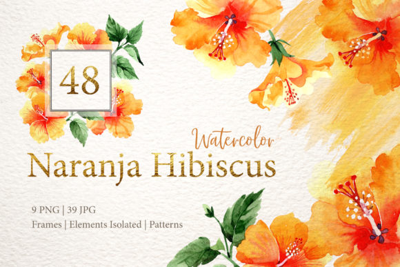 Naranja Hibiscus Watercolor: A Versatile Collection for Creative Projects