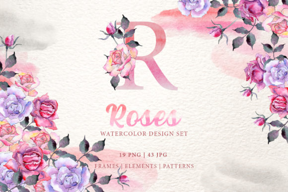 Pink Roses Watercolor