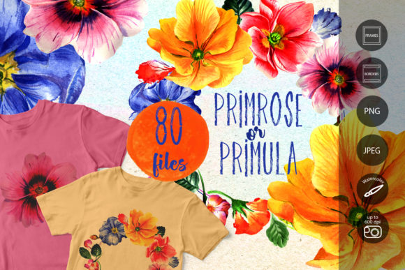 Primrose or Primula Flowers Watercolor Set