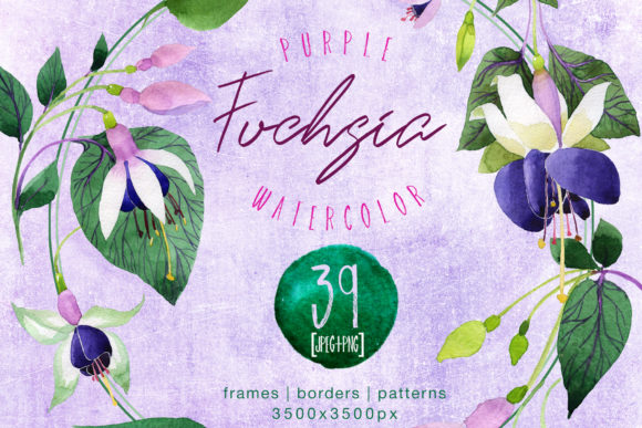 Purple Fuchsia Watercolor Flower Set