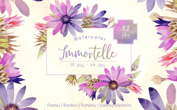 Purple Immortelle Watercolor Set