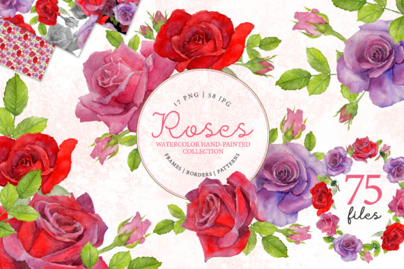 Red Rose Elegant Watercolor: A Creative Asset for Every Project
