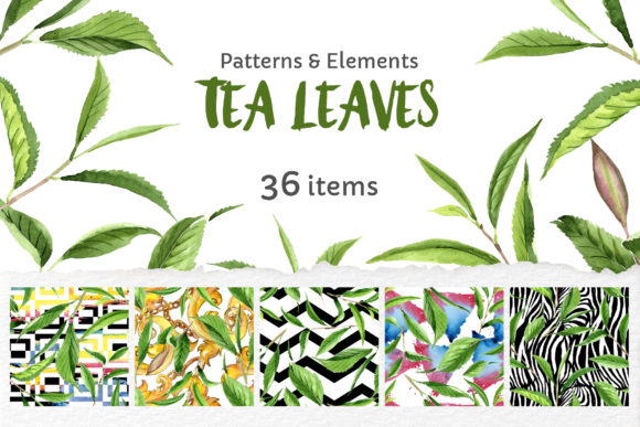 The Enduring Appeal of Green Tea Leaves Watercolor in Modern Design and Branding