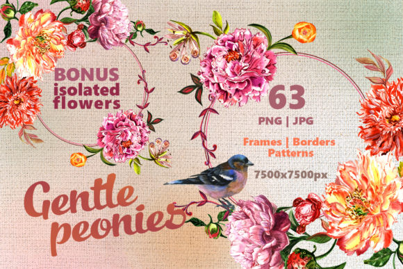 The Gentle Peonies Watercolor Set: A Complete Guide to Wildflower Aquarelle Graphics for Creative Projects