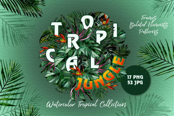 Tropical Jungle Watercolor: A Complete Guide to Using Hand-Painted Art for Your Creative Projects