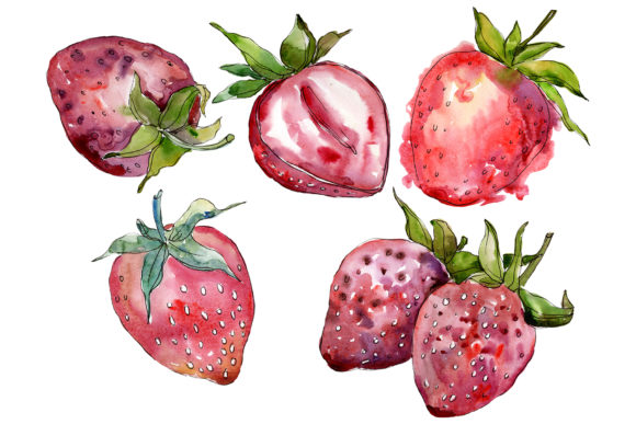 Why Strawberry Cultivar Malvina Watercolor Art is the Versatile Design Asset You Need