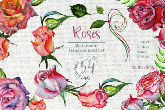 Wonderful Roses Watercolor Flower Set for Creatives